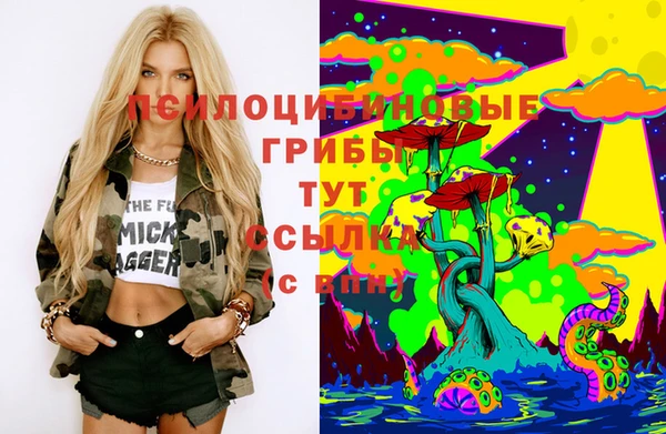 MDMA Белокуриха