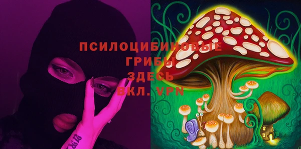 шишки Сафоново