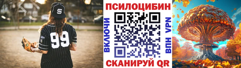 Псилоцибиновые грибы прущие грибы  продажа наркотиков  сайты даркнета формула  Щёкино 