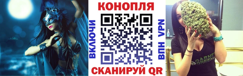 сколько стоит  ссылка на мегу онион  Шишки марихуана марихуана  Щёкино 